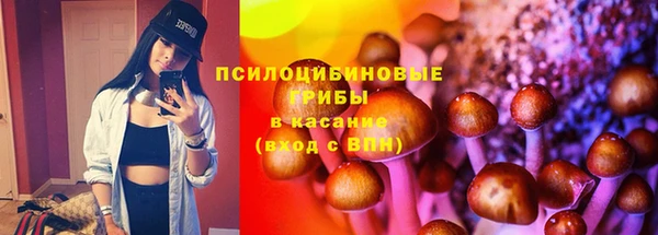 ешки Алзамай