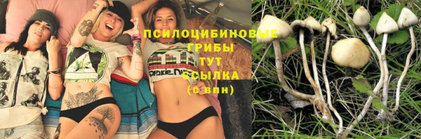 ешки Алзамай