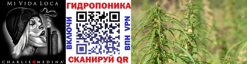 МАРИХУАНА планчик  Курлово 